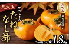 【2025年先行予約】種無し柿 早生刀根柿 1.8kg 2025年9月下旬～2025年10月下旬頃に順次発送予定（お届け日指定不可）/ 和歌山 柿 かき フルーツ 果物 くだもの 刀根 種無し【kgr003】