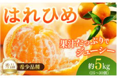 【先行予約】希少種みかん はれひめ 秀品 約5kg (25個～30個) ※2025年12月中旬～2026年2月初旬頃に順次発送予定（お届け日指定不可）/ 和歌山 みかん ミカン はれひめ フルーツ 柑橘 蜜柑 果物 くだもの 旬 産地直送【kgr004A】