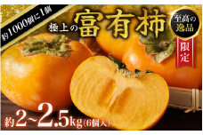 【先行予約】富有柿 2kg～2.5kg 6個入 至高の逸品 約1000個に１個！ 2025年10月下旬～2025年11月下旬頃に順次発送予定（お届け日指定不可）/ 和歌山 柿 かき フルーツ 果物 くだもの 刀根 種無し【kgr013】