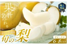 【先行予約】旬の梨(幸水ー豊水ーあきづき) 極上秀品（中玉～大玉）6～8個入り 2025年8月下旬～2025年9月下旬頃に順次発送予定（お届け日指定不可）/ 和歌山 梨 フルーツ 果物 くだもの【kgr015】