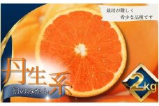 【L～3Lサイズおまかせ】※秀優混合 丹生系みかん 2kg ※箱込み【2026年2月初旬から2月下旬頃までに順次出荷】＜味好農園＞/ 丹生系 にゅうけい みかん 柑橘 果物 フルーツ ミカン 訳あり 秀品 優品【agy029A】