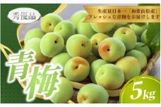 【先行予約】青梅  5kg ※秀優品　※サイズ混合 【2026年6月～順次発送予定】＜味好農園＞/ 梅 青梅 梅干 梅干し 梅酒 お酒 シロップ ジュース【agy030】
