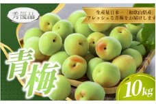 【先行予約】青梅  10kg ※秀優品　※サイズ混合 【2026年6月～順次発送予定】＜味好農園＞/ 梅 青梅 梅干 梅干し 梅酒 お酒 シロップ ジュース【agy031】