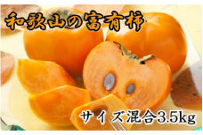 [甘柿の王様]和歌山産富有柿約3.5kgサイズ混合 / 柿 かき カキ フルーツ 果物 くだもの 和歌山  【tec980】