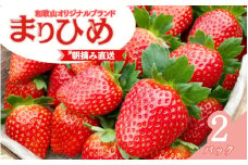 【先行予約】特大まりひめ いちご 朝摘 6個～11個入り×2パック 2026年1月中旬～3月末頃に順次発送予定（お届け日指定不可）/ いちご 苺 まりひめ 和歌山 フルーツ 果物 くだもの【kiy003A】