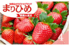 【先行予約】特大まりひめ いちご 朝摘 6個～11個入り×4パック 2026年1月中旬～3月末頃に順次発送予定（お届け日指定不可）/ いちご 苺 まりひめ 和歌山 フルーツ 果物 くだもの【kiy004A】