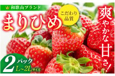 【先行予約】まりひめ いちご 12粒～15粒入り×2パック（500g）2026年1月中旬～2026年3月中旬頃に順次発送予定（お届け日指定不可）/ いちご 苺 まりひめ 和歌山 フルーツ 果物 くだもの【kgr007A】