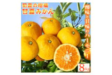 【ご家庭用訳あり】紀州有田産 すっきり爽やか 甘夏みかん 8kg  ※2026年3月上旬頃〜2026年3月下旬頃に順次発送予定 / 甘夏 あまなつ みかん ミカン 蜜柑 温州みかん 柑橘 フルーツ 果物 くだもの 和歌山【uot847】