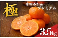＼光センサー選別／極 有田みかんプレミアム 約3.5kg【選りすぐりの上位20％をお届け】2S～L\サイズ 有機質肥料100% ※2025年11月下旬～2026年1月上旬頃に順次発送予定 ※北海道・沖縄・離島への配送不可/ミカン 蜜柑 柑橘 フルーツ くだもの 果物 温州 有田 甘い 高級 贈答品 贈り物 新鮮  12月 【nuk168】