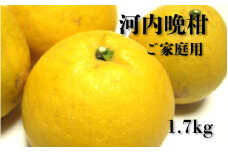 【2025年4月中旬～6月下旬発送】【和製グレープフルーツ】有田育ちの河内晩柑(ご家庭用)　1.7kg【ard223】
