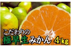 【2025年秋頃発送予約分】【農家直送】こだわりの極早生みかん 約4kg【数量限定】 有機質肥料100% サイズ混合 ※2025年9月下旬より順次発送予定（お届け日指定不可）【nuk171】