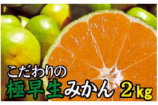 【2025年秋頃発送予約分】【農家直送】こだわりの極早生みかん 約2kg【数量限定】 有機質肥料100% サイズ混合 ※2025年9月下旬より順次発送予定（お届け日指定不可）【nuk170】
