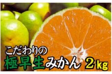 【2025年秋頃発送予約分】【農家直送】こだわりの極早生みかん 約2kg【数量限定】 有機質肥料100% サイズ混合 ※2025年9月下旬より順次発送予定（お届け日指定不可）【nuk170】