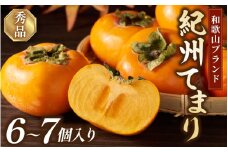紀州てまり（和歌山県ブランド柿）6～7個入 こだわり農家厳選 先行予約 【2025年10月初旬頃から12月中旬頃順次発送】 / 柿 フルーツ 果物 かき 和歌山 かつらぎ 農家直送 贈答 【kgr029】