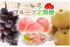 【全3回定期便】和歌山の旬のフルーツ定期便！人気の桃・ピオーネ・梨をお届け♪ / フルーツ 定期便 フルーツ定期便 桃 梨 ナシ 葡萄 巨峰 ピオーネ 和歌山 【tkb306】