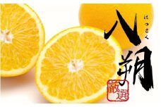 ＜1月より発送＞【先行予約】厳選はっさく1kg+250g（傷み補償分）【八朔みかん】【ikd220】