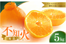 【先行予約】秀品 ハウス不知火 5kg【L～4Lのサイズおまかせ】【2026年1月下旬から2025年２月下旬頃に順次発送】＜味好農園＞/不知火 デコポン 蜜柑 みかん 柑橘 果物 フルーツ 【agy038】