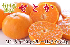 一度は食べていただきたい「有田産のせとか」約4～5kg（サイズおまかせ）※2026年2月中旬～2026年3月上旬頃に順次発送 / 果物 くだもの フルーツ 蜜柑 みかん オレンジ 柑橘 【tecj1024】 