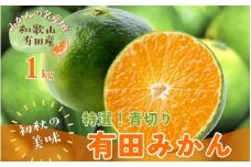 【先行予約】【2025年9月発送】特撰 青切り有田みかん 1kg ※北海道・沖縄・離島配送不可 / みかん ミカン 果物 フルーツ 柑橘 和歌山 有田みかん 青切 極早生 早生みかん【ard232】