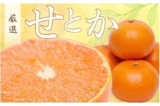 ＜2月より発送＞厳選 せとか2.5kg+250g（傷み補償分）【柑橘・春みかんの王様】【光センサー選果・食べ頃出荷】【ikd233】