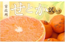 ＜2月より発送＞家庭用 せとか10kg+250g（傷み補償分）【柑橘・春みかんの王様】【わけあり・訳あり】【光センサー選果・食べ頃出荷】【ikd238】