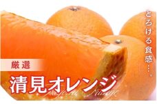 ＜2月より発送＞厳選 清見10kg+250g（傷み補償分）【光センサー食頃出荷】【樹上完熟きよみオレンジ・清見タンゴール・清美】【ikd241】
