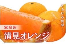 ＜2月より発送＞家庭用 清見10kg+250g（傷み補償分）【光センサー食頃出荷】【樹上完熟きよみオレンジ・清見タンゴール・清美】【わけあり・訳あり】【ikd242】