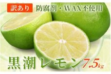 ＜先行予約＞わけあり レモン7.5kg+250g（傷み補償分）【和歌山有田産】【防腐剤・WAX不使用、安心の国産レモン】【わけあり・訳ありレモン】【ikd243】
