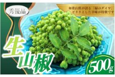 【先行予約】ぶどう生山椒 500g【2026年5月中に順次発送予定】＜味好農園＞/ 山椒 さんしょう 生山椒 生さんしょう 調味料 スパイス 香辛料 山椒の実 山椒の実生 実【agy032】