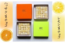 フルーツ生チョコ2種セット/生チョコ デザート 八朔  手作り 柑橘 果汁 【kmf013】