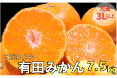 有田みかん　約7.5kg  大玉3L以上　有機質肥料100%　※2025年12月初旬～1月中旬に順次発送(お届け日指定不可)/ミカン 蜜柑 柑橘 フルーツ くだもの 果物 早生 温州 有田 【nuk158C】