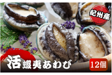 やわコリ食感紀州の蝦夷アワビ 【12個入】 ※北海道・沖縄・離島への配送不可 / 鮑 アワビ あわび 人気 活アワビ 冷蔵【yas004】