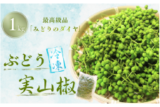  冷凍 ぶどう 生実山椒 1kg (1kg×1袋) / 山椒 さんしょう 香辛料 調味料 薬味 冷凍 ぶどう山椒 生山椒 和歌山県 紀美野町 生実山椒【twn025】