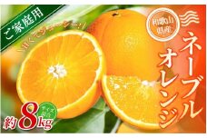 【ご家庭用】手選別 ネーブルオレンジ 約8kg 和歌山県産 2S~2Lサイズ混合※2026年1月上旬～2月中旬頃に順次発送【mrmt046】