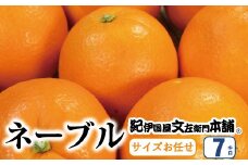 ネーブル 約7kg / サイズおまかせ　※2026年1月中旬～2026年2月中旬頃に順次発送予定(お届け日指定不可)　紀伊国屋文左衛門本舗 / ネーブル オレンジ ネーブルオレンジ 蜜柑 みかん 柑橘 果物 フルーツ 【kmtb430B】