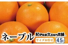  ネーブル 約4.5kg サイズおまかせ　※22026年1月中旬～2026年2月中旬頃に順次発送予定(お届け日指定不可) 紀伊国屋文左衛門本舗 / ネーブル 蜜柑 みかん 柑橘 オレンジ 果物 フルーツ【kmtb431C】