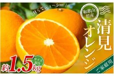 【ご家庭用】手選別 清見オレンジ 約1.5kg 和歌山県産 2S~2Lサイズ混合※2026年2月上旬～5月中旬頃に順次発送【mrmt021A】