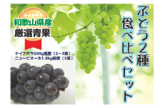 【絶品】ぶどう２種食べ比べセット【2025年8月中旬～8月下旬発送】/ ぶどう マスカット ピオーネ ナイアガラ ニューピオーネ フルーツ 果物 くだもの 食品 人気 おすすめ 送料無料