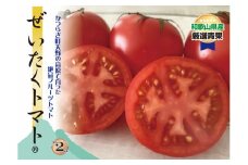 【旨すぎる】こだわり絶品高原とまと【フルーツトマト約２kg】【2025年7月中旬～10月下旬発送】/ とまと トマト 完熟 和歌山 甘い 先行受付 ふるーつとまと 旬 国産