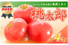 太陽の恵みたっぷりの天野とまと【桃太郎トマト約４kg】【2025年7月中旬～10月下旬発送】/ とまと トマト 完熟 和歌山 甘い 先行受付 旬 国産 