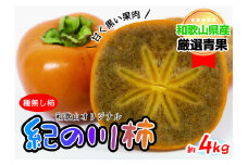 【和歌山県紀北地方の特産品！】紀の川柿(約4kg) 【10月中旬～11月中旬発送】