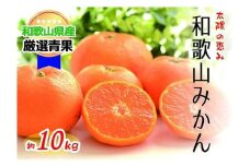 【太陽の恵み】和歌山みかん(約１０kg) 【2025年12月上旬～2026年1月下旬発送】