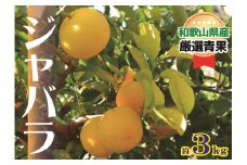 紀州かつらぎ山のジャバラ果実＜完熟＞約3ｋｇ【1月中旬～2月中旬発送】