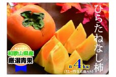 【甘みが自慢】 たねなし柿 約4kg 【10月上旬から11月上旬頃発送】