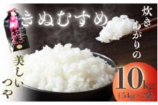 自然豊かな 高野山 麓の水 土に育てられた きぬむすめ 約10kg (約5kg×2袋) 2025年収穫 【2025年11月上旬～12月下旬発送予定】/ 米 お米 おこめ こめ かつらぎ町 　