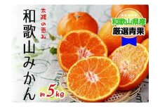 【太陽の恵み】和歌山みかん(約５kg) 【2025年12月上旬～2026年1月下旬発送】