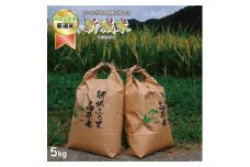【特選】新城米(きぬひかり 約5kg)＜2025年収穫＞【2025年9月下旬から2026年1月下旬に順次発送】【A105-frks039】