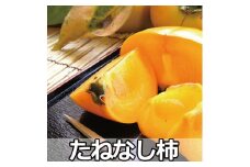 採れたてタネなし柿“2L”サイズ 約7.5kg【2025年10月中旬～10月下旬頃発送予定】【ART18】