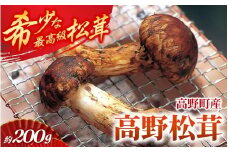 【2025年発送分】香り・歯応え・味ともに最高級！希少な国産松茸「高野松茸」 約200g【化粧箱入】【2025年10月中旬～11月上旬発送予定】