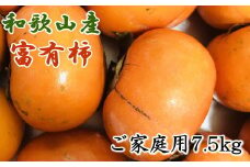 【訳あり・ご家庭用】和歌山産富有柿 ご家庭用 約7.5kg【2025年11月上旬～12月中旬頃順次発送】【TM6】